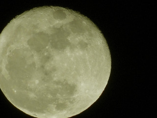 moon.jpg