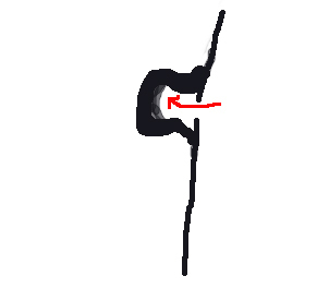 sinsitu.jpg